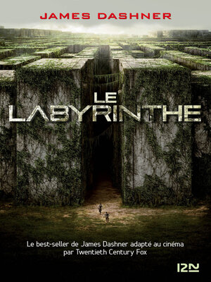 cover image of Le labyrinthe--Tome 01